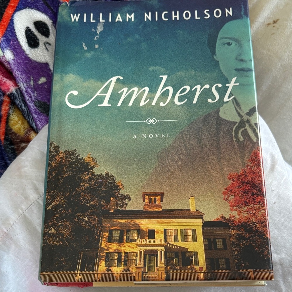 Amherst Novel by - Multicolor Cover